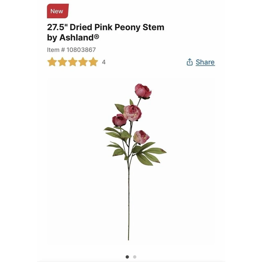 Set of 10 Viral Ashland Pink Peony Stems From Michael’s NEW 2026